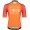 INEOS GRENADIERS 2022 training edition ICON Radtrikot kurzarm(langer RV)-Radsport-Profi-Team